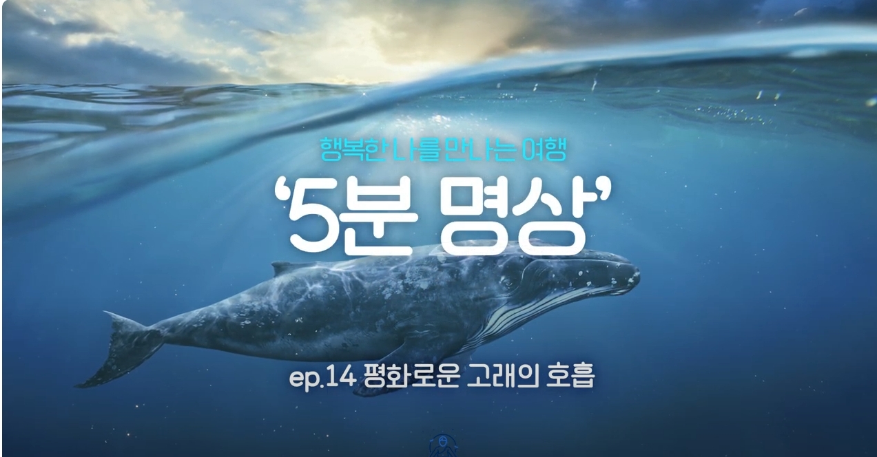 K-청소년 5분명상 : ep.14 '평화로운 고래의 호흡'